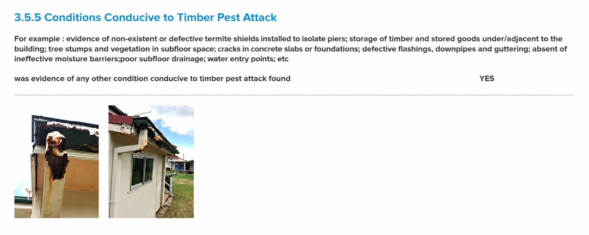 Timber Pest Inspection report showing inspection findings and property information