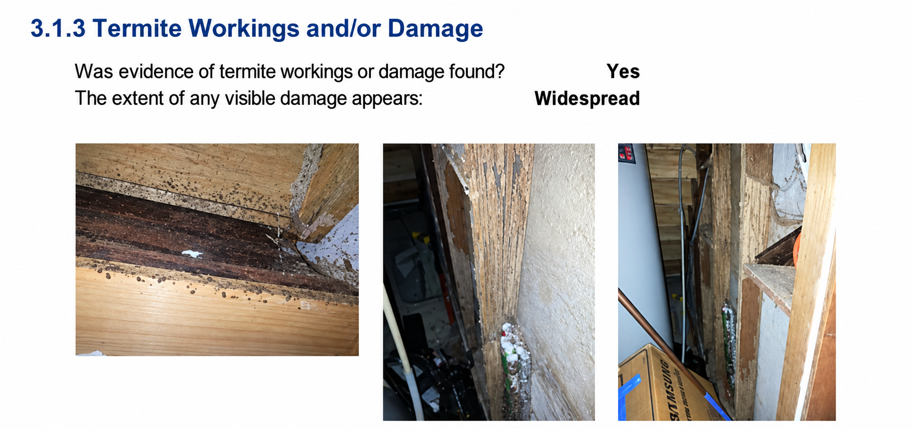 Building and Pest Inspection report showing widespread termite workings and damage